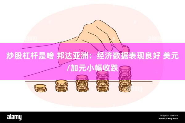 炒股杠杆是啥 邦达亚洲：经济数据表现良好 美元/加元小幅收跌