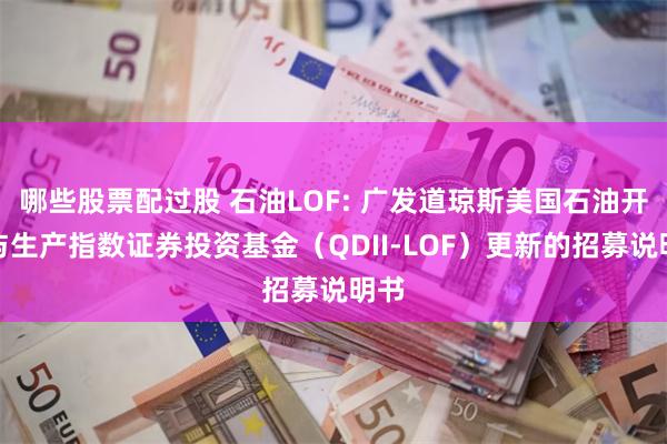 哪些股票配过股 石油LOF: 广发道琼斯美国石油开发与生产指数证券投资基金(QDII-LOF)更新的招募说明书