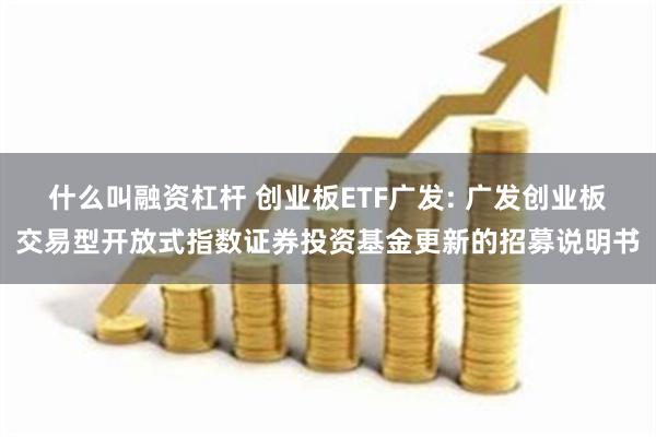 什么叫融资杠杆 创业板ETF广发: 广发创业板交易型开放式指数证券投资基金更新的招募说明书